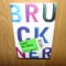 LUNI DE FIRBERE -PASCAL BRUCKNER