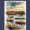 A Year in Nature: A Memoir of Solace