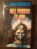 OILE PRIVESC IN SUS- J. BRUNNER