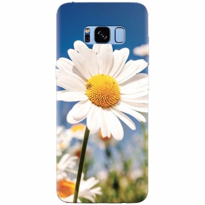Husa silicon pentru Samsung S8, Daisies Field Flowers foto