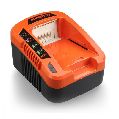 Redback EC50 Incarcator rapid acumulatori 40V 5A ProAdvanced PowerfulTools foto