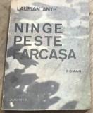 LITR02MF Carte Laurian Ante - Ninge peste Farcasa, Editura Junimea 1989, Roman Beletristica, Literatura Romana, Veche, Brosata