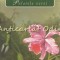 Palatele Verzi - W. H. Hudson