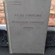 F. Cathelin, Atlas d'anatomie pathologique chirurgicale urinaire, Paris 1909 042