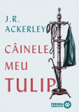 C&acirc;inele meu Tulip - Hardcover - Art