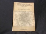 Caransebes ( contributii istorice ) de Petru Bona anul 1989 / 138 pagini !