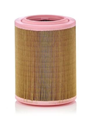 MANN-FILTER C 18 003 Filtru aer foto