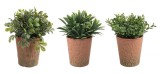 Cumpara ieftin Set 3 ghivece plante artificiale 8x16 cm