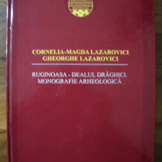 Ruginoasa - Dealul Draghici : monografie arheologica