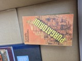 Purgatoriul vintage