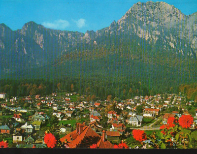 CPI B12462 CARTE POSTALA - BUSTENI. VEDERE SPRE BUCEGI foto