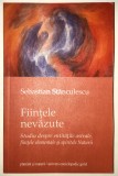 Fiintele nevazute, Spiritele naturii, Entitati astrale, Sebastian Stanculescu.