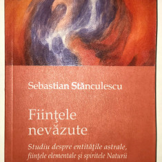 Fiintele nevazute, Spiritele naturii, Entitati astrale, Sebastian Stanculescu.