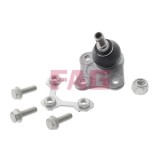 FAG Articulatie sarcina/ghidare