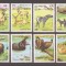 Congo 1993 - Animale , MNH