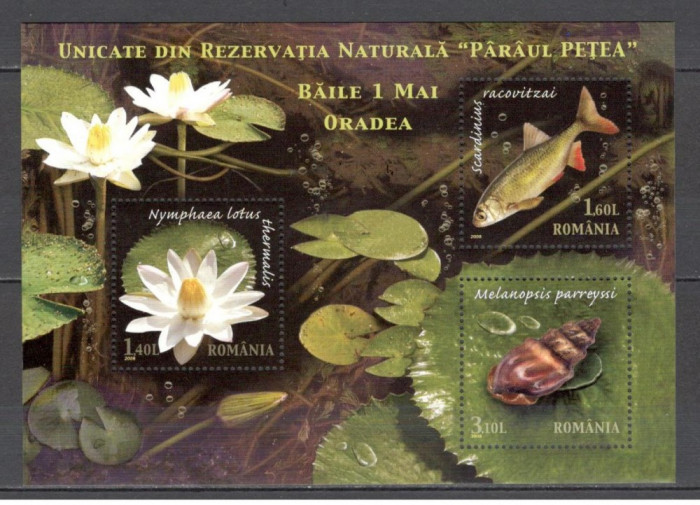Romania.2008 Unicate din rezervatia naturala Paraul Petea-Bl. DR.750