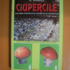 CIUPERCILE CULTURA CIUPERCILOR AGARICUS SI PLEUROTUS de N. MATEESCU , 2000