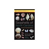Seashells of North Carolina