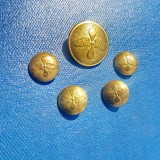 G391-Lot 5 nasturi militari vechi aviatie alama aurita stare buna.