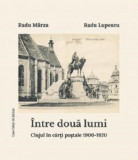 Intre doua lumi | Radu Lupescu, Radu Marza, Casa Cartii de Stiinta