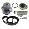 SKF VKMC 01942 Set pompa apa + curea dintata