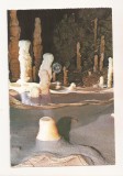 RF90 - Carte Postala - Pestera Ursilor - Chiscau, Bihor, necirculata