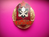 HOPCT ROMANIA INSIGNA POMPIER / POMPIERI 10 ANI FPCI [ 2 ] PAZA CONTRA INCENDIILOR-MAI-MINISTERUL DE INTERNE, Romania de la 1950