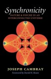 Synchronicity: Nature and Psyche in an Interconnected Universe