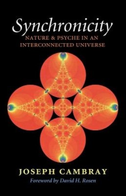 Synchronicity: Nature and Psyche in an Interconnected Universe foto