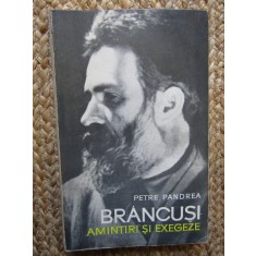 Petre Pandrea - Brancusi. Amintiri si exegeze