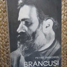 Petre Pandrea - Brancusi. Amintiri si exegeze