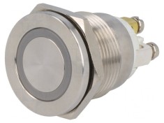 Comutator Anti-Vandalism SPST-NO 0,5A 220V foto