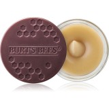Burt&rsquo;s Bees Lip Scrub Exfoliant pentru buze cu efect de nutritiv 7.08 g