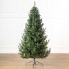 Brad artificial Christmas Deluxe by Sersimo, Viena Select, integral 3D, 210cm Household NewTrend