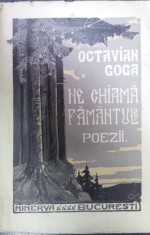 NE CHIAMA PAMANTUL - OCTAVIAN GOGA foto