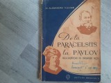 De la Paracelsus la Pavlov.Deschizatori de drumuri de Alexandru Culcer