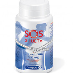 L-CARNITINA 500mg 60cps ROTTA NATURA