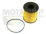 MOTAQUIP VFF429 filtru combustibil