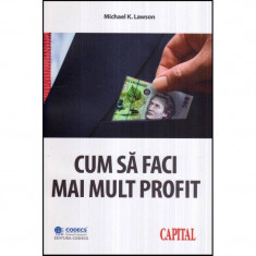 Cum sa faci mai mult profit foto