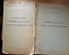 EXEMPLE DE CALCUL LA CURSUL DE PODURI DE LEMN + PLANSE - CONSTANTINESCU FLORIN foto