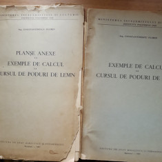 EXEMPLE DE CALCUL LA CURSUL DE PODURI DE LEMN + PLANSE - CONSTANTINESCU FLORIN