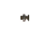 Freewheel gear, starter