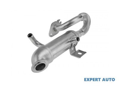 Radiator recirculare gaze Ford Focus (1998-2004) [DAW, DBW] #1 foto
