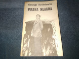 GEORGE ACSINTEANU - PIATRA NEAGRA
