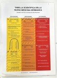 TABELLA SCIENTIFICA DELLA NUOVO MEDICINA GERMANICA ( TABELUL STIINTIFIC PENTRU NOUA MEDICINA GERMANA ) di RYKE GEERD HAMER , 2012 * BOGAT ILUSTRATA ,