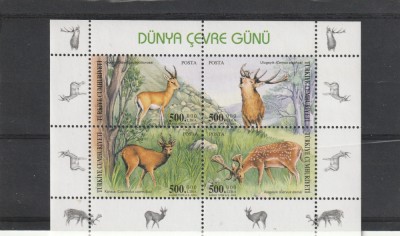 Fauna ,cervide ,Turcia, foto
