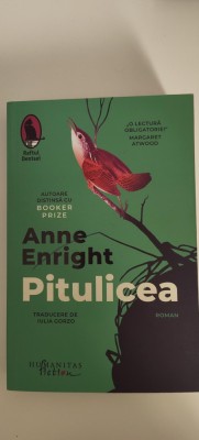 Anne Enright - Pitulicea foto
