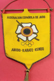Fanion (de protocol) - FEDERATIA de JUDO (AIKIDO-KARATE-KENDO) din SPANIA