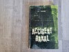 Accident banal de Al.Simion
