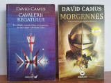 David Camus &ndash; seria &ldquo;Romanul crucii&rdquo;(2 vol)